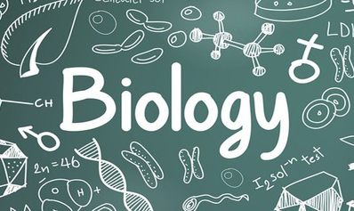Gr. 11- Biology - University Preparation